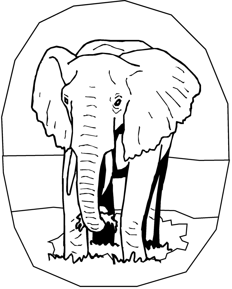 Elephant coloring pages