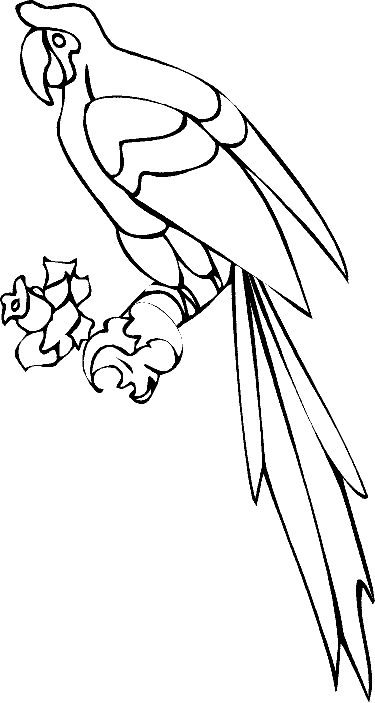 Parrot coloring pages