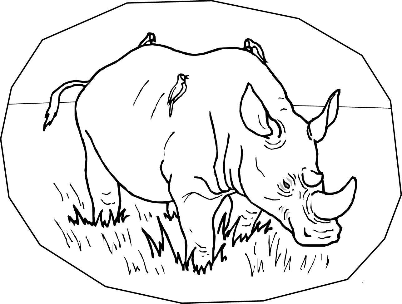 rhino printable coloring pages